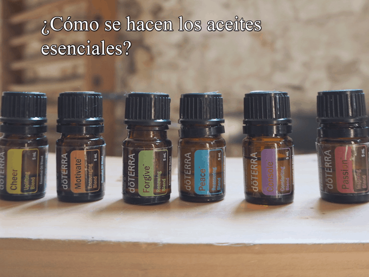 cómo se hacen los aceites esenciales